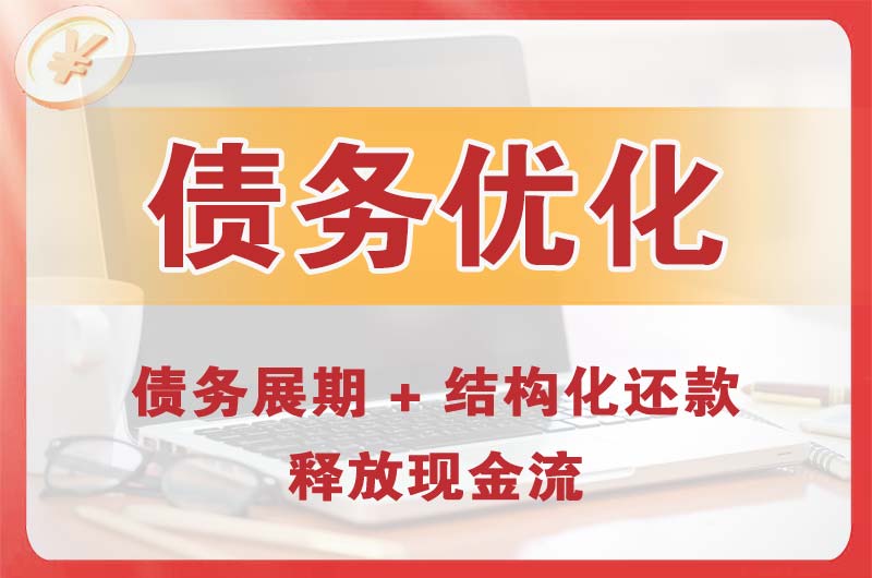 柯坪债务优化